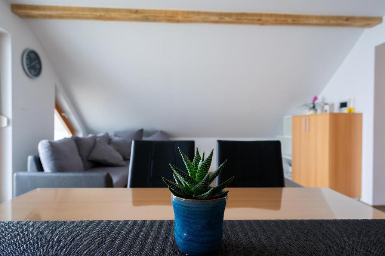 Pjagodic Apartments & Wellness 戈雷尼斯卡地区采尔克列 外观 照片